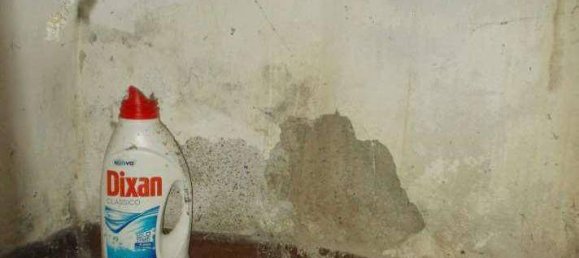 6 chambres Appartement à Gazzada Schianno, Italy No. 281679 7