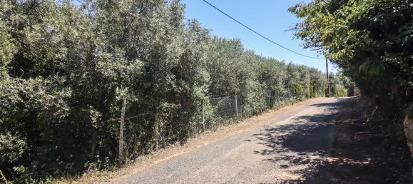 3 غرف نوم منزل في Alenquer, Portugal رقم 71795 33