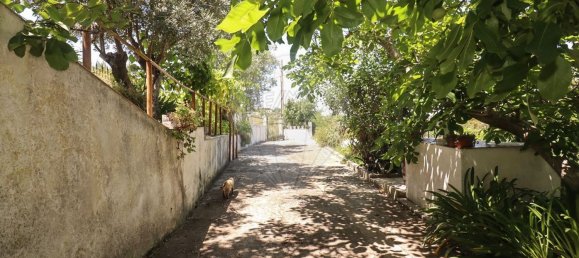 3 غرف نوم منزل في Alenquer, Portugal رقم 71795 29