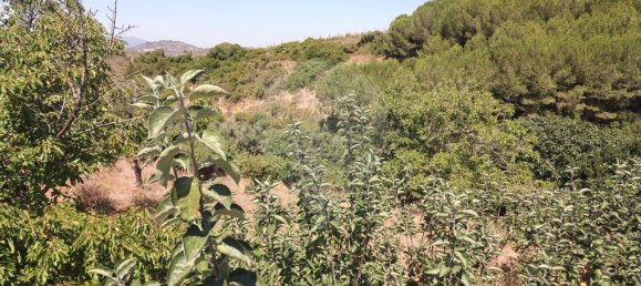 3 غرف نوم منزل في Alenquer, Portugal رقم 71795 31