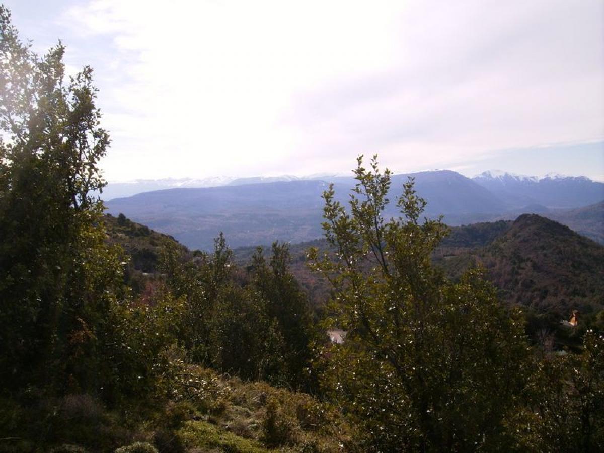  Land in Neuquen, Argentina No. 43022