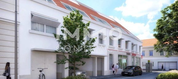 Gewerbliche Immobilie in Traiskirchen, Austria, Nr. 212646 2