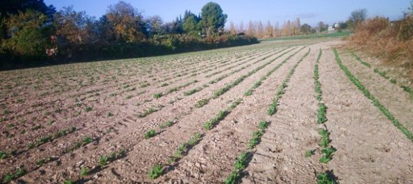  Land in Zaragoza, Spain No. 62025 10