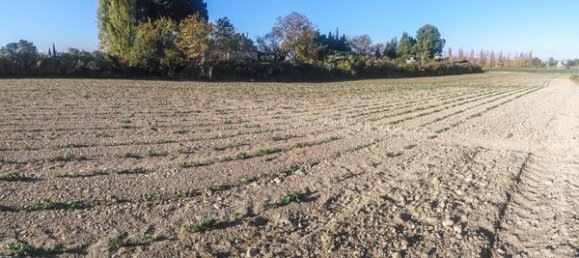  Land in Zaragoza, Spain No. 62025 6