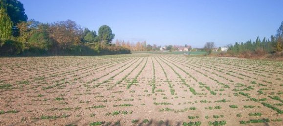  Land in Zaragoza, Spain No. 62025 5