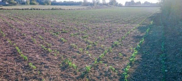  Land in Zaragoza, Spain No. 62025 2