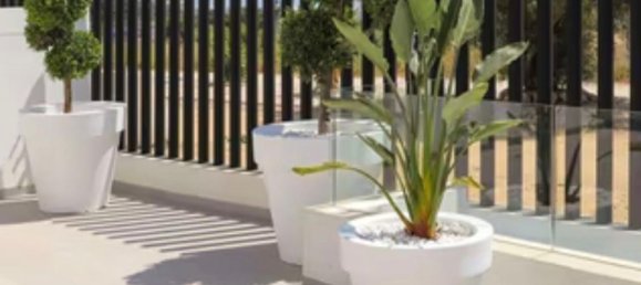 4 Schlafzimmer Villa in Guardamar del Segura, Spain, Nr. 190467 39