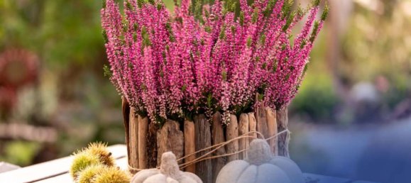 Casa de 4 divisões em Sachsische Schweiz-Osterzgebirge, Germany N.º 200544 7