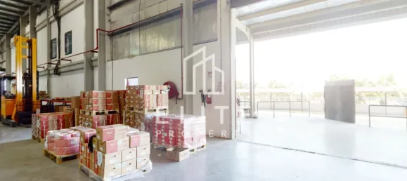 Lagerhaus in Jebel Ali, UAE 5838m², Nr. 97741 29