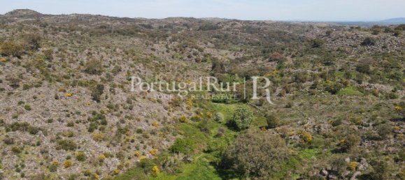  Castillos de 3 dormitorios en Marvao, Portugal No. 141702 29