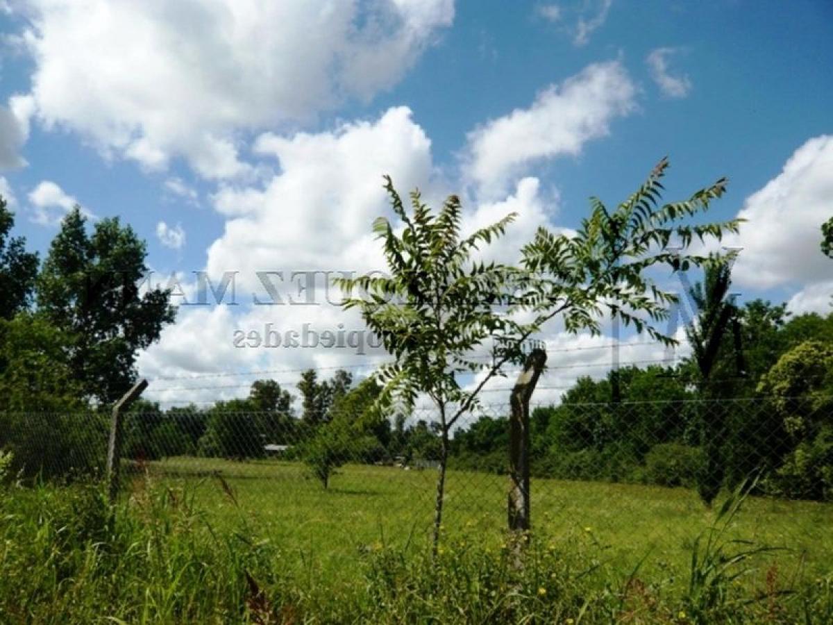  Land in Esteban Echeverria, Argentina No. 37260