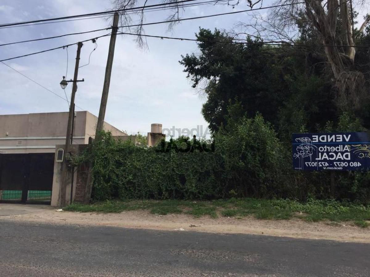  Land in Campo Creado, Argentina No. 37340