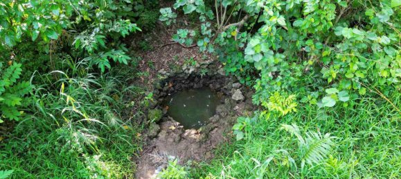 Grundstück in Port-Vila, Vanuatu 17074m², Nr. 93 11