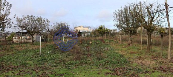 3 Schlafzimmer Haus in Penafiel, Portugal, Nr. 54991 31