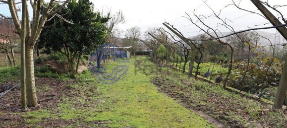 3 Schlafzimmer Haus in Penafiel, Portugal, Nr. 54991 30