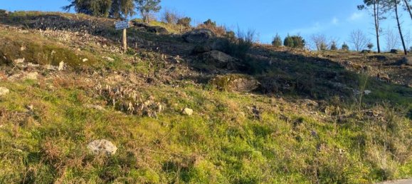  Land in Soalhaes, Portugal No. 56134 5