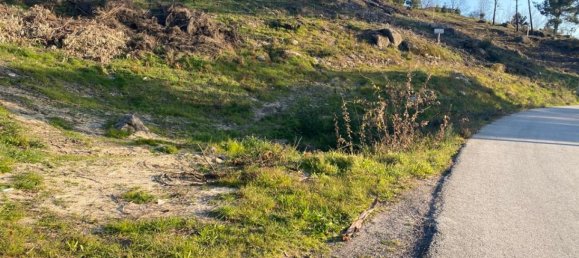  Land in Soalhaes, Portugal No. 56134 14