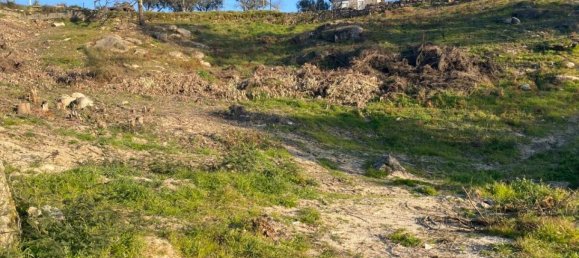  Land in Soalhaes, Portugal No. 56134 9