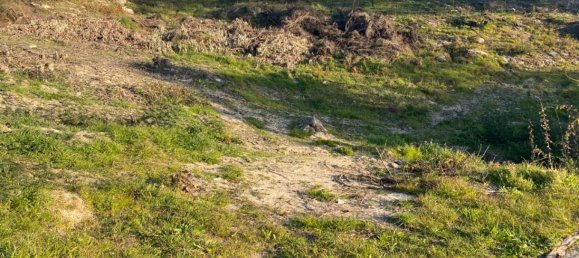  Land in Soalhaes, Portugal No. 56134 15