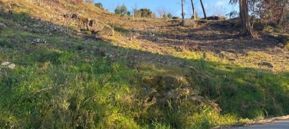  Land in Soalhaes, Portugal No. 56134 4