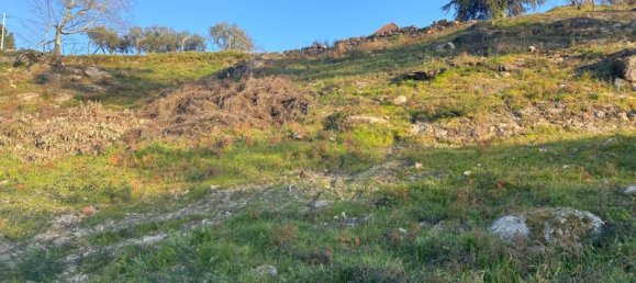  Land in Soalhaes, Portugal No. 56134 2