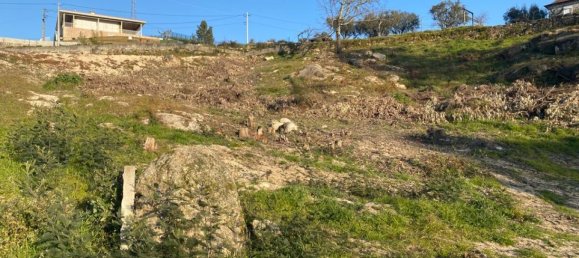  Land in Soalhaes, Portugal No. 56134 19