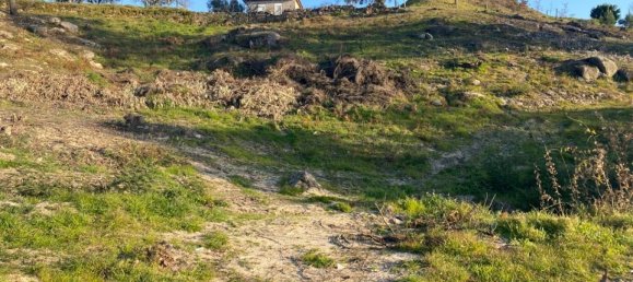  Land in Soalhaes, Portugal No. 56134 10