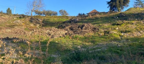  Land in Soalhaes, Portugal No. 56134 7