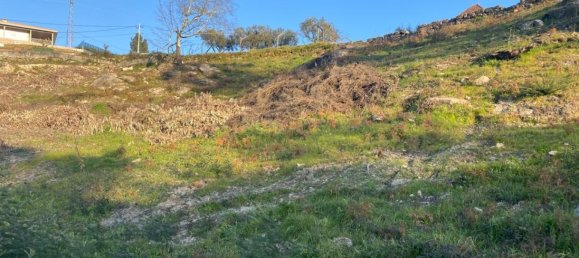  Land in Soalhaes, Portugal No. 56134 3