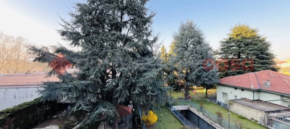 3 rooms Apartment in Parella, Italy No. 53135 29