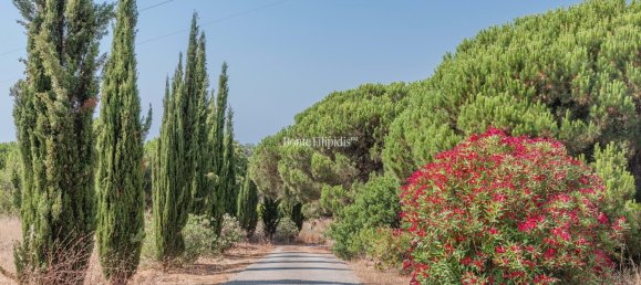 Villa de 7 dormitorios en Sesimbra, Portugal No. 268286 25