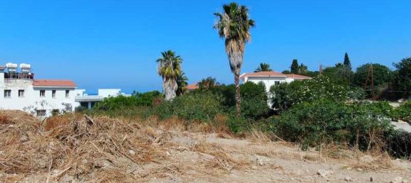 3 غرف نوم منزل في Chloraka, Cyprus رقم 15587 4