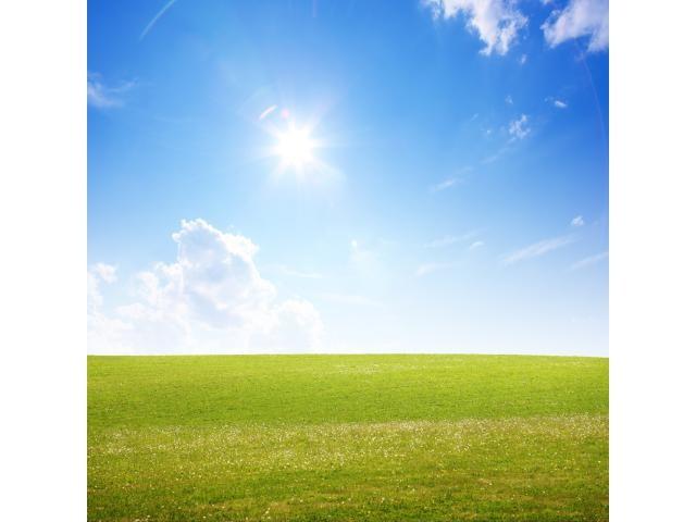 Grundstück in Märkisch-Oderland, Germany, Nr. 54342