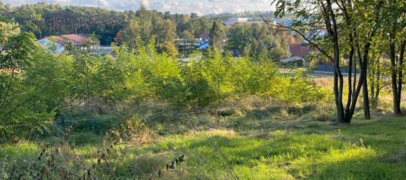  Land in Potsdam, Germany No. 274428 6