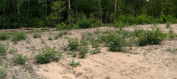  Land in Potsdam, Germany No. 274428 2