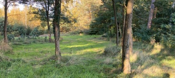  Land in Potsdam, Germany No. 274428 7