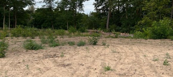  Land in Potsdam, Germany No. 274428 4