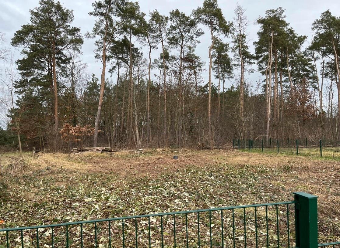  Land in Potsdam, Germany No. 274428