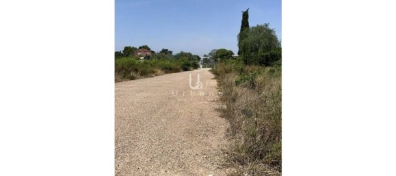 1008m² Commercial property in Beniel, Spain No. 153011 15
