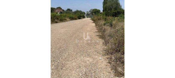 1008m² Commercial property in Beniel, Spain No. 153011 14