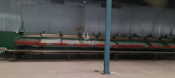 1008m² Commercial property in Beniel, Spain No. 153011 4