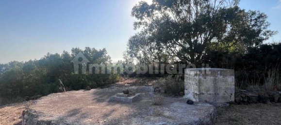 3 Schlafzimmer Haus in Pantelleria, Italy, Nr. 282002 5