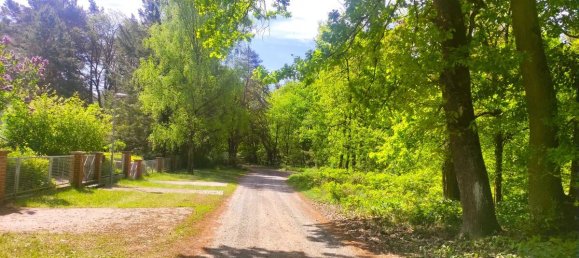 Bungalow de 3 dormitorios en Potsdam-Mittelmark, Germany No. 264313 24