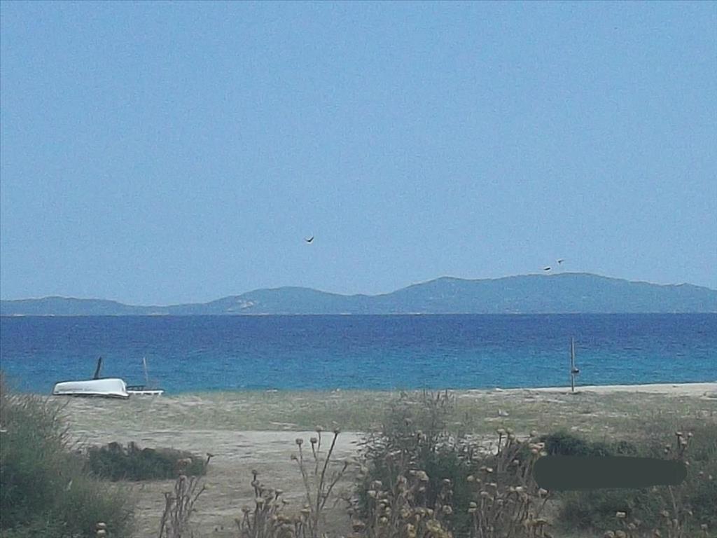 8000m² Hotel in Chalkidiki, Greece No. 6367