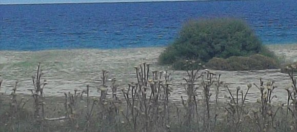 8000m² Hotel in Chalkidiki, Greece No. 6367 2