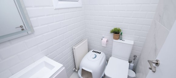 3 bedrooms Villa in Tala, Cyprus No. 22819 11