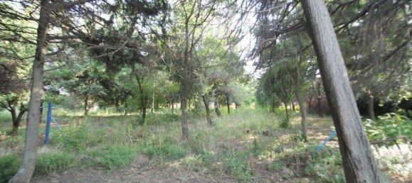 7 rooms House in Senigallia, Italy No. 134004 23