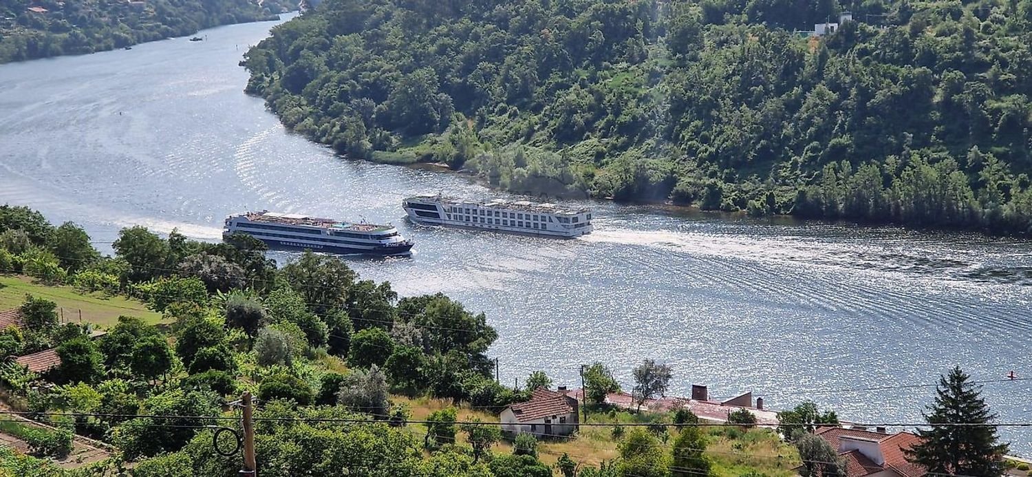 9 غرف نوم منزل في Marco de Canaveses, Portugal رقم 222363