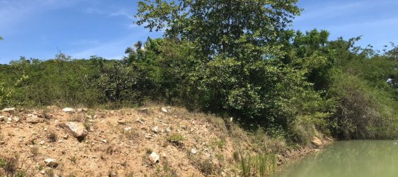 Gewerbliche Immobilie in Hua Hin, Thailand, Nr. 6264 4