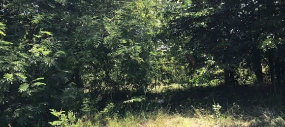 Gewerbliche Immobilie in Hua Hin, Thailand, Nr. 6264 7